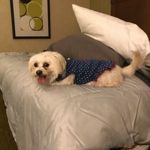 Meet your Posher, Kris